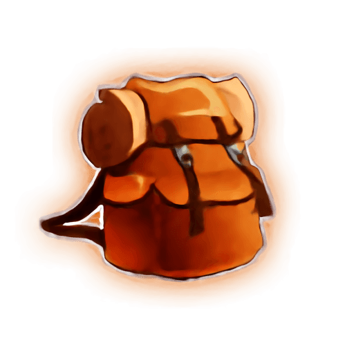 Vagrant